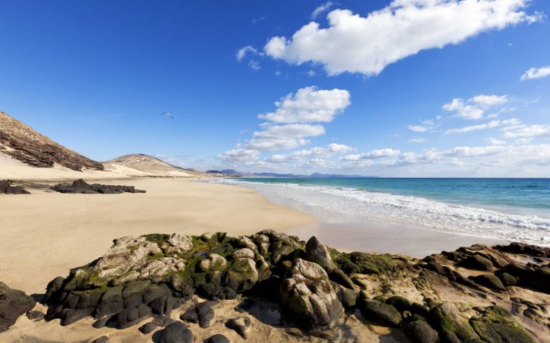 Noleggio auto a Fuerteventura